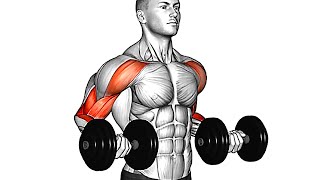 Best Bicep Exercises You Should Be Doing Dumbbell Only [upl. by Iahs]