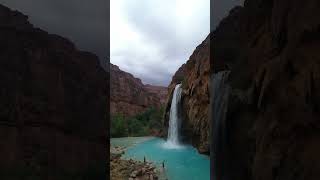 Havasu Falls Desert Paradise  MUST SEE Waterfall shorts [upl. by Einafpets719]