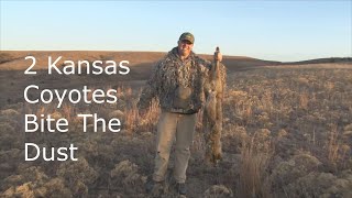 2 Kansas Coyotes Bite The Dust [upl. by Rosena]