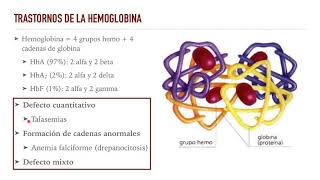 Anemia 4 Anemia hemolítica [upl. by Otrebire829]