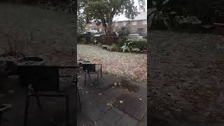 Snowing in Bournemouth [upl. by Riannon]