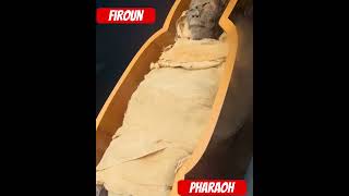 Firaun  Pharaoh Body Egypt [upl. by Dede986]