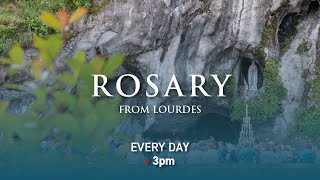 Rosary from Lourdes  25052024 [upl. by Okwu269]