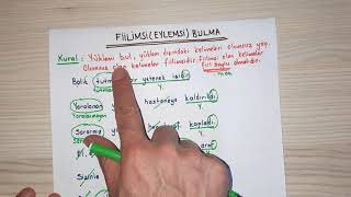 FİİLİMSİLER EN KOLAY ŞEKİLDE FİİLİMSİ BULMA [upl. by Wampler]