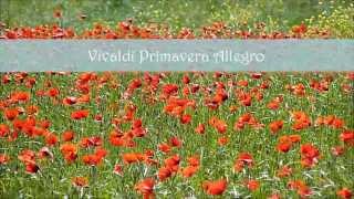 Vivaldi  Primavera  Allegro  Toscana [upl. by Siloum349]