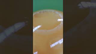 Rheoscopic Fluids shortvideo beautiful amazing viral satisfaying [upl. by Otho]