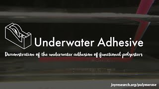 Underwater Adhesion of Polyester Coacervates [upl. by Nonnahsed]