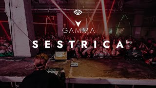 Sestrica live act  GAMMA festival 2022  mdivision [upl. by Jacey]