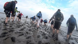 Wadlopen bij ondergaande zon Lauwersoog  Schiermonnikoog [upl. by Wilbert]