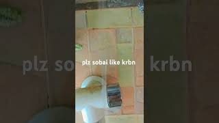 shortvideo  plz sobai like krbn [upl. by Ahsina]