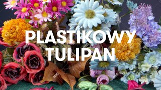 Sokół  Plastikowy tulipan Official Audio [upl. by Eitten]