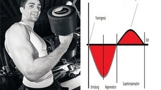 Muskelaufbau wichtig Pause und Regeneration [upl. by Cassell]