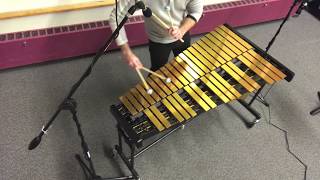 Vibraphone Solo  Do Re Mi Katamari Do from the Katamari Video Games [upl. by Fahy]