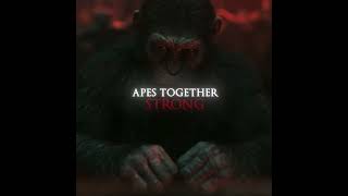 Apes Together Strong  Caesar  Loud Room [upl. by Doerrer]