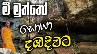 මීමුත්තෝ සොයා දඹදිවට [upl. by Rather]