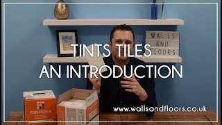 Tints Tiles  An Introduction [upl. by Solracsiul]