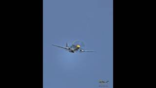 P51 Mustang V12 Sound Mustang aircraft warbirds p51mustang avgeek [upl. by Marron529]