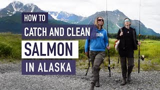 How to Catch and Fillet Salmon in Alaska [upl. by Jefferson]