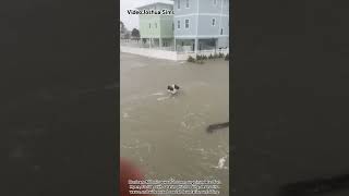 Flood in Fort Myers of Florida florida milton hurricane [upl. by Lucina]