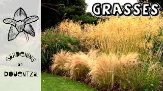 Grasses For Garden Use [upl. by Ecilegna]