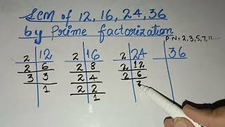 Lcm of 12 16 24 36 by prime factorization  in UrduHindi [upl. by Lasley]