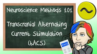 Transcranial Alternating Current Stimulation tACS Explained  Neuroscience Methods 101 [upl. by Rogerio]