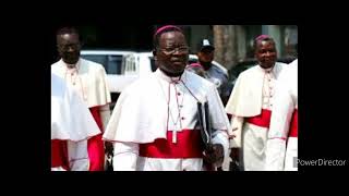 African Catholic Priests Reject Pope Francis calls for blessing Same Sex Marriage [upl. by Ateuqirne860]