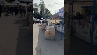 Festa dellUva e del Vino di Bardolino [upl. by Archy728]