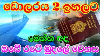 USD rate today Airport banks in Katunayake airport Sri Lanka 12th September 2024 [upl. by Ahsele941]