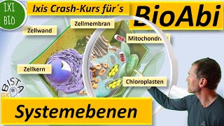 Biologie Systemebenen  Organismusebene Pflanze bis zur AtomEbene bei der lichtabhängigen Reaktion [upl. by Rodge]