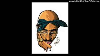 2Pac  Reincarnation 639hz [upl. by Becht]