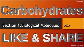 Carbohydrates Section 1  Biological molecules Alevel biology [upl. by Filberto251]