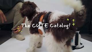 The CUTE Catalog  Origaudio [upl. by Aamsa]