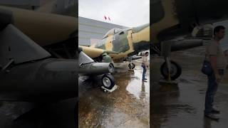 A1 Skyraider at War Remnants Museum  Vietnam War Fighter Plane Explored saigon shorts [upl. by Adnilram834]