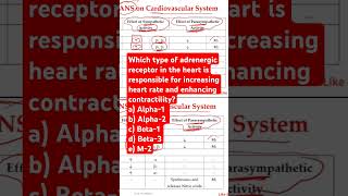 Which type of adrenergic receptor in the heart [upl. by Gnilyam489]