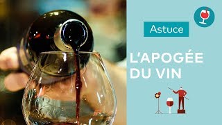 Lapogée du vin  questce que cest   Les astuces du Petit Ballon [upl. by Sholom]