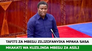 TAFITI ZA MBEGU ZILIZOFANYIKA TANZANIA  BUNGENI LEO  DAVID SILINDE  BENKI YA MBEGU ZA ASILI [upl. by Aetnahc245]