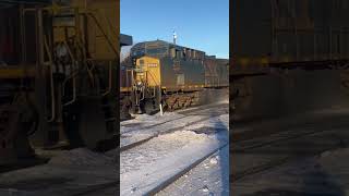 CSX  CEFX Lashup On BNSF Racetrack [upl. by Fagaly]