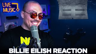 Fantano REACTION to quotHIT ME HARD AND SOFTquot by Billie Eilish [upl. by Yuzik464]