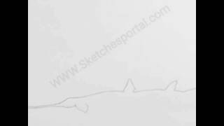 How to Draw a Saw Shark In 11 Steps [upl. by Aland]