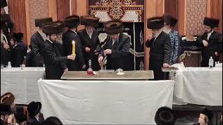 Belzer Rebbes Son Making Havdalah In NY  Elul 5784 [upl. by Camilia205]