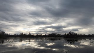 Silence and Solitude Okefenokee National Wildlife Refuge [upl. by Aneroc]