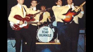 BEAU BRUMMELS Interview  Ray Michaels and Del Riverswmv [upl. by Mw]