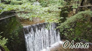 OHARA 🎐TEMPLOS EN LAS MONTAÑAS AL NORTE DE KIOTO JAPÓN RURAL [upl. by Legra235]