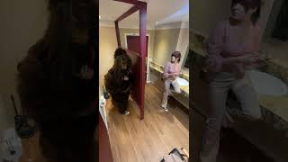 Boyfriend in monkey costume scares beautiful girlfriend manuella [upl. by Merchant]