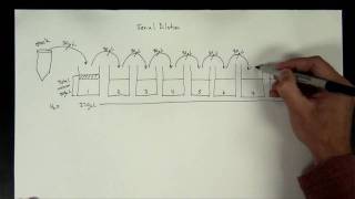 Concentrations Part 5  serial dilution [upl. by Annel]