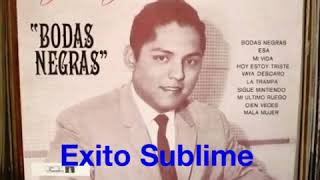 Julio Jaramillo  Pasionarias Full Audio Original [upl. by Silbahc]