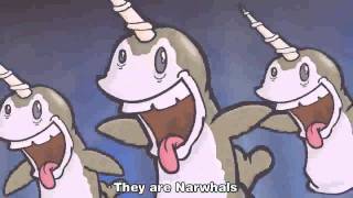 The Nawhals Song [upl. by Lorrimer]