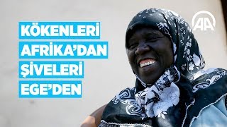 Kökenleri Afrikadan şiveleri Egeden [upl. by Windsor]