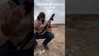 mossbergshockwave shotgun slugs shooting 2a [upl. by Sculley]